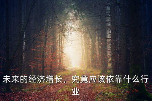 未來中國經(jīng)濟什么行業(yè)可以,究竟應該依靠什么行業(yè)