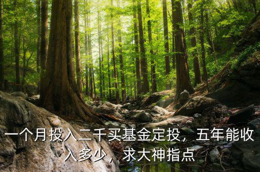 一個(gè)月投入二千買基金定投，五年能收入多少，求大神指點(diǎn)