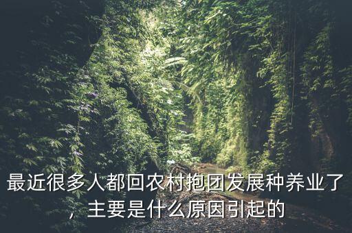 最近很多人都回農(nóng)村抱團(tuán)發(fā)展種養(yǎng)業(yè)了，主要是什么原因引起的