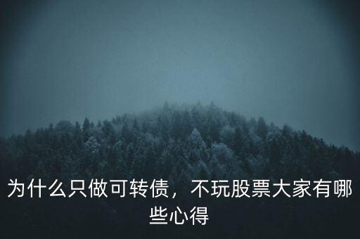 為什么只做可轉(zhuǎn)債，不玩股票大家有哪些心得