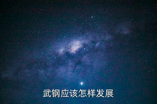 以后的武鋼怎么,武鋼應(yīng)該怎樣發(fā)展