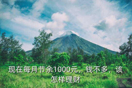 現(xiàn)在每月節(jié)余1000元，錢不多，該怎樣理財