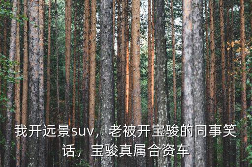 我開遠景suv，老被開寶駿的同事笑話，寶駿真屬合資車