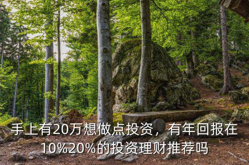 投資什么年回報10,有年回報在10%