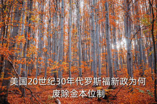 美國20世紀30年代羅斯福新政為何廢除金本位制