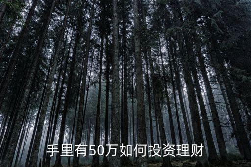 手里有50萬如何投資理財