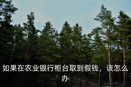 如果在農業(yè)銀行柜臺取到假錢，該怎么辦