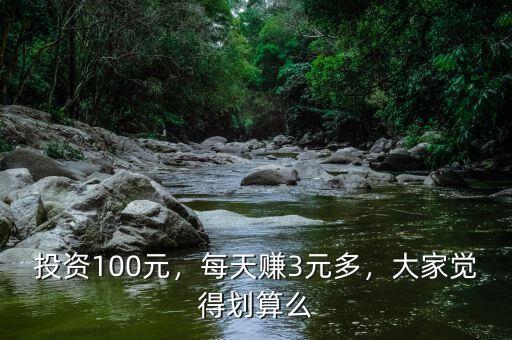 投資100元，每天賺3元多，大家覺得劃算么