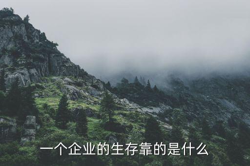 一個企業(yè)的生存靠的是什么