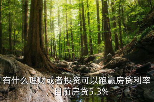 有什么理財或者投資可以跑贏房貸利率，目前房貸5.3%