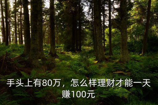 手頭上有80萬(wàn)，怎么樣理財(cái)才能一天賺100元