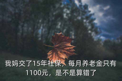 我媽交了15年社保，每月養(yǎng)老金只有1100元，是不是算錯了