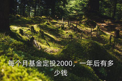 每個(gè)月基金定投2000，一年后有多少錢