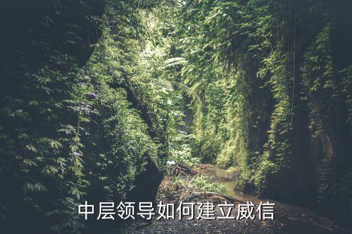 中層領(lǐng)導(dǎo)如何建立威信