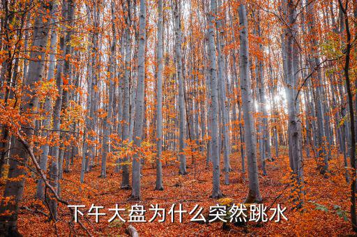 下午大盤(pán)為什么突然跳水