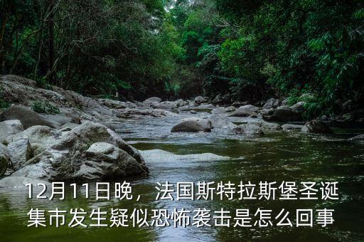 12月11日晚，法國(guó)斯特拉斯堡圣誕集市發(fā)生疑似恐怖襲擊是怎么回事