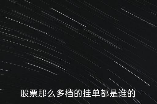 股票那么多檔的掛單都是誰的