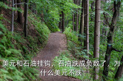 美元和石油掛鉤，石油跌成負(fù)數(shù)了，為什么美元不跌