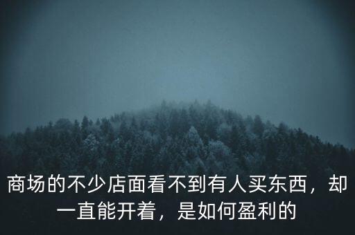 商場的不少店面看不到有人買東西，卻一直能開著，是如何盈利的