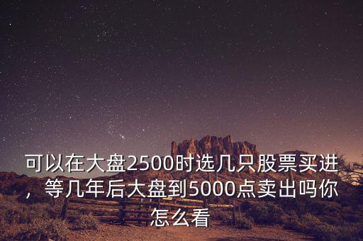 可以在大盤2500時(shí)選幾只股票買進(jìn)，等幾年后大盤到5000點(diǎn)賣出嗎你怎么看