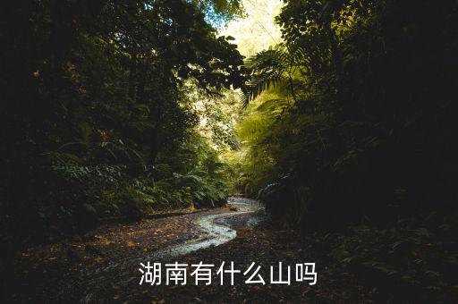 湖南有什么山嗎