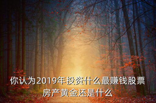 你認(rèn)為2019年投資什么最賺錢(qián)股票房產(chǎn)黃金還是什么