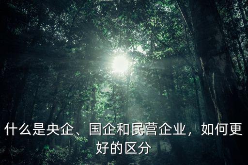 什么是央企、國企和民營企業(yè)，如何更好的區(qū)分