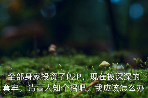 全部身家投資了P2P，現(xiàn)在被深深的套牢，請高人知個招吧，我應(yīng)該怎么辦