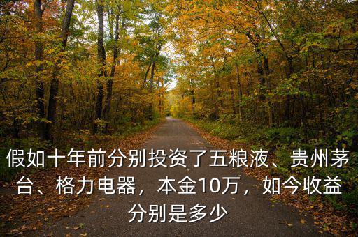 假如十年前分別投資了五糧液、貴州茅臺(tái)、格力電器，本金10萬，如今收益分別是多少