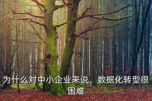 為什么對(duì)中小企業(yè)來說，數(shù)據(jù)化轉(zhuǎn)型很困難