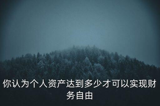 你認為個人資產(chǎn)達到多少才可以實現(xiàn)財務自由