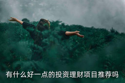 有什么好一點(diǎn)的投資理財(cái)項(xiàng)目推薦嗎