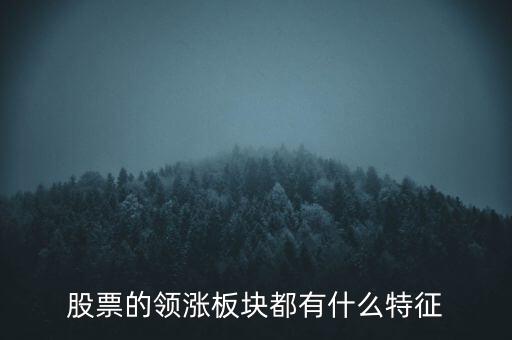 股票的領(lǐng)漲板塊都有什么特征