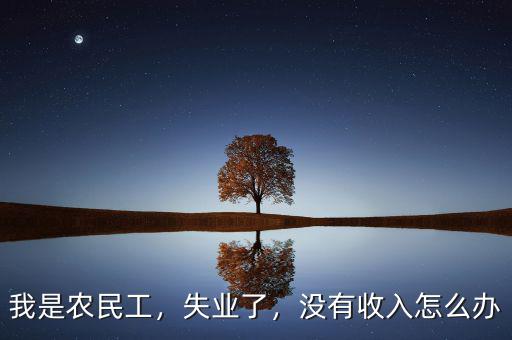 我是農(nóng)民工，失業(yè)了，沒有收入怎么辦