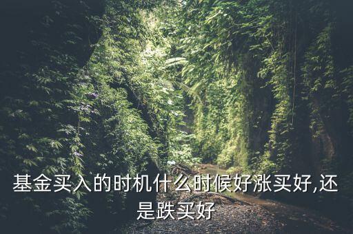 基金什么時候漲,什么時候回回升