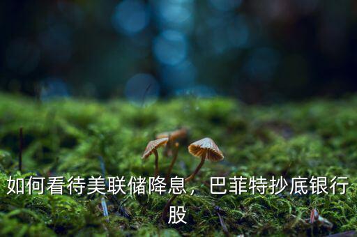 如何看待美聯(lián)儲(chǔ)降息，巴菲特抄底銀行股