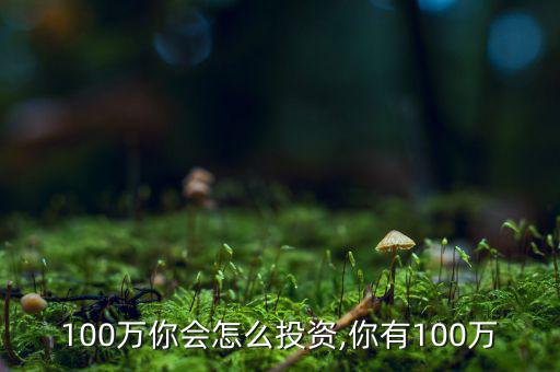 你有100萬你會怎么投資,你有100萬