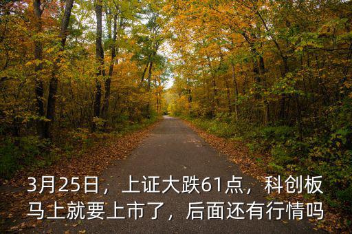 3月25日，上證大跌61點，科創(chuàng)板馬上就要上市了，后面還有行情嗎