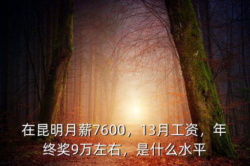 在昆明月薪7600，13月工資，年終獎(jiǎng)9萬(wàn)左右，是什么水平