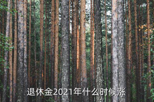 退休金2021年什么時(shí)候漲