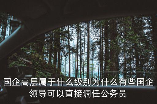 國企高層屬于什么級別為什么有些國企領(lǐng)導可以直接調(diào)任公務員