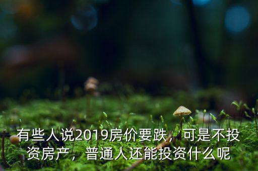 有些人說2019房?jī)r(jià)要跌，可是不投資房產(chǎn)，普通人還能投資什么呢