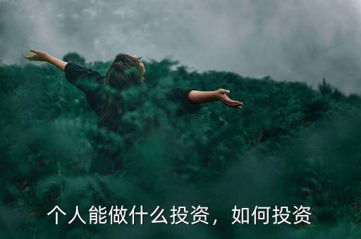 十三五期間個(gè)人投資什么最好,個(gè)人能做什么投資