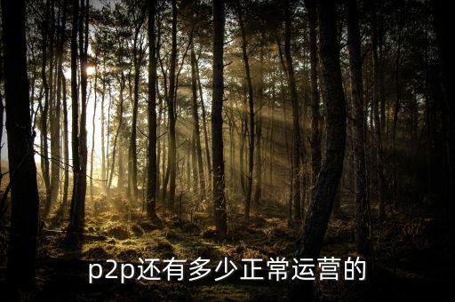 p2p運營是做什么的,P2P公司都是怎么運作的