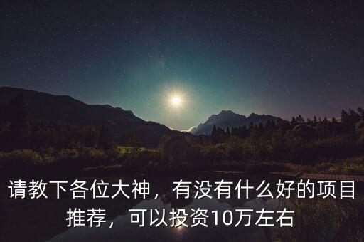 請教下各位大神，有沒有什么好的項目推薦，可以投資10萬左右