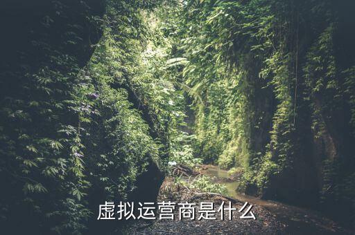 虛擬運營商是什么