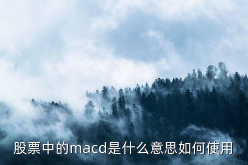 macd中e40是什么意思,股票中的macd是什么意思