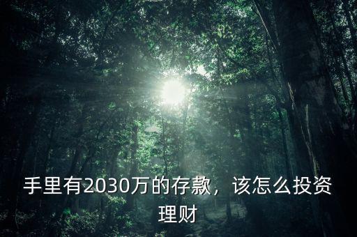 手里有2030萬的存款，該怎么投資理財