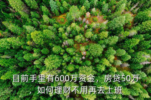 目前手里有600萬資金，房貸50萬，如何理財不用再去上班