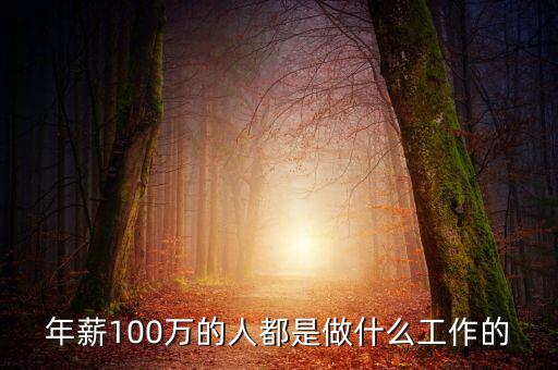 做什么才能年薪100萬(wàn),什么行業(yè)一年可掙到100萬(wàn)